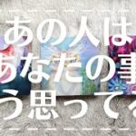 【タロット占い】あの人は私の事どう思ってる？あの人の本音/恋愛運💕2人の未来/当たるタロット💎2人のこれから