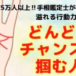 《有料級！徹底解説》今すぐ探して！どんどんチャンスを掴む人の手相！？【手相鑑定】～質問返し～