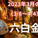 【六白金星】2023年3月の運勢！～無心の境地で人と協力していく