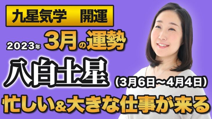 【占い】2023年3月の八白土星の運勢・九星気学【忙しい＆大きな仕事が来る】（3月6日～ 4月4日）仕事・健康・人間関係