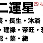 十二運星とは何でしょうか。【四柱推命・占い・運命】