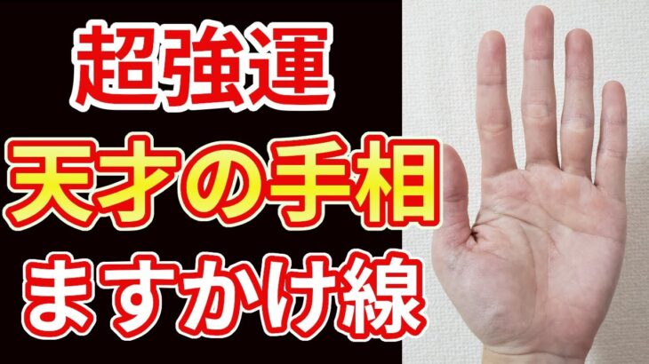 【手相占い】天才の手相マスカケ線！強運の暗示する手相をご紹介します！