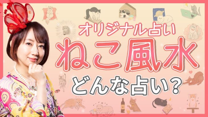 オリジナル占い【ねこ風水】とは？生年月日と出生地で占う14パターンのねこタイプ