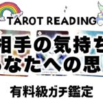 【タロット占い】お相手の気持ちとあなたへの想いを全力ガチ鑑定🦄✨✨お相手の現状•お相手の気持ち•あなたへの想い•相手はどう動く？•お相手があなたに魅力を感じでいる所は？など詳細リーディング【３択占い】