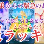 🔮龍神様からの緊急お告げ🔮今急激に引き寄せている超とんでもなくラッキーな事〈アマテラスタロット〉