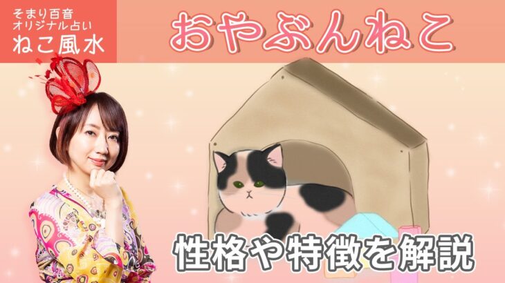 そまり百音【ねこ風水】「おやぶんねこ」はと職人気質で頼もしい！