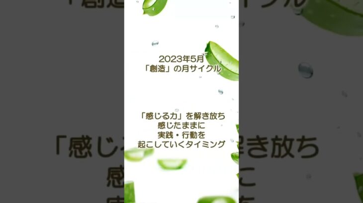 【数秘術】2023年5月の流れ：気を付けてほしいこと【占い】