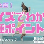 【手相】開運ポイントクイズ☆開運につながる線・丘の解説☆運を鍛えるリコーダー？☆●●線？☆開運のコツ☆手相占い