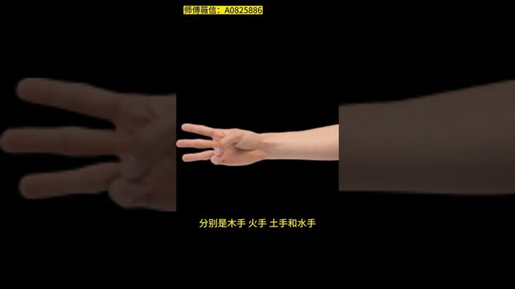 手掌的形态可以分为四种