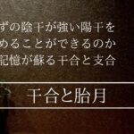 前世のカルマが現れる命宮に干合と支合があればどうなる⁉︎