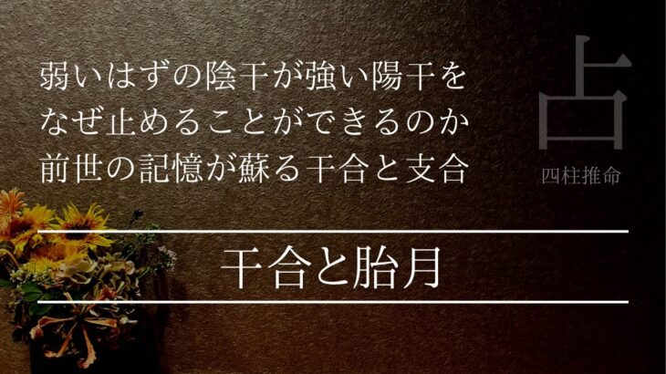 前世のカルマが現れる命宮に干合と支合があればどうなる⁉︎