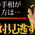 【手相占い】この手相を見逃さないで！人生を左右する手相【手相鑑定 vol.221】