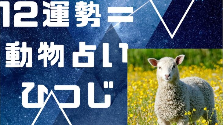 12運勢🟰動物占い🟰四柱推命には意味がある？羊🐏