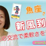 魚座さん2023年6月タロット占い「新風到来」