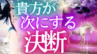 次にする決断【未来予知✨】タロットリーディング・もしかして見られてる⁉貴方の未来タロットカードで占います✨オラクル❤️選択式タロットリーディング仕事運金運 成功 タロット ふなチャンネル風菜