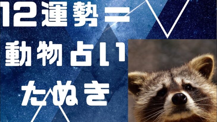 １２運勢🟰動物占い🟰四柱推命には意味がある！？たぬき