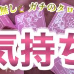 【※忖度無し】【タロット占い】『今この瞬間のあの人の私へのお気持ち』リアルタイムリーディング　カード差し替え無し