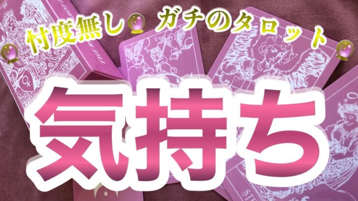 【※忖度無し】【タロット占い】『今この瞬間のあの人の私へのお気持ち』リアルタイムリーディング　カード差し替え無し