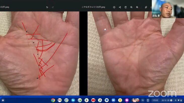 【Youtubeライブ】『公開手相鑑定』こやなぎさん（2023/07/02）