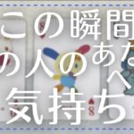 【  再アップ🙇‍♀️  】今この瞬間のあの人のあなたへの気持ち【恋愛・タロット・オラクル・占い】