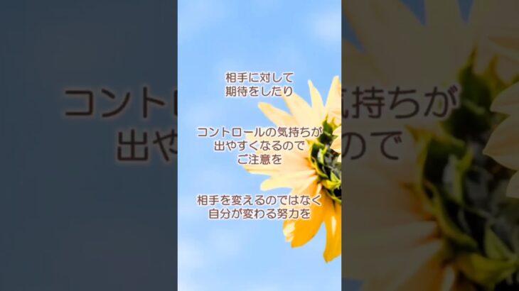 【数秘術】2023年8月の流れ：気を付けてほしいこと【占い】