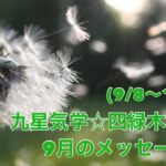 九星気学☆四緑木星さん9月のメッセージ(9/8〜10/7)