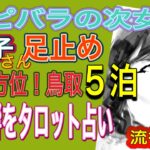 鹿子ちゃん大凶方位に５泊のアクシデントで運勢が変わる⁉️タロット占い　テレ東bizちょっといい話