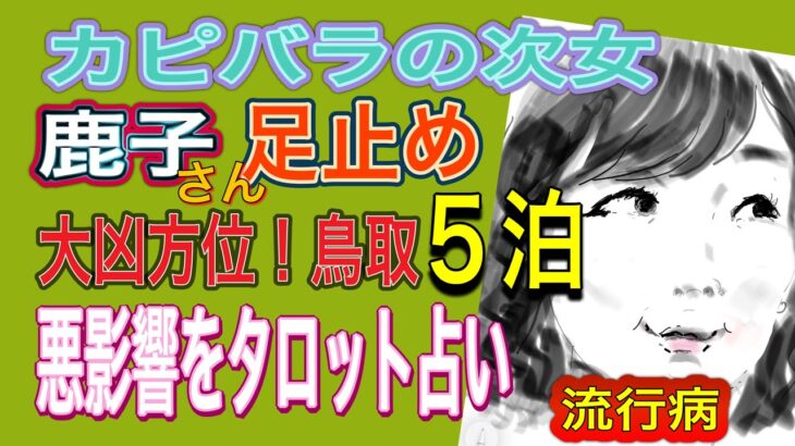 鹿子ちゃん大凶方位に５泊のアクシデントで運勢が変わる⁉️タロット占い　テレ東bizちょっといい話