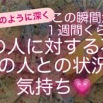 ルノルマン・タロット占い✨この瞬間から1週間くらい〜あなたのあの人に対する不安・あの人との状況や気持ち💗見えるところなるだけ〜✨