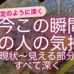 ルノルマン・タロット占い✨今この瞬間あの人の気持ち・現状〜見える部分すべて深く読んでいきます✨