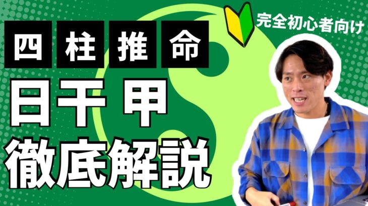 【四柱推命】甲の人の本質教えます！誇り高き頑固者？おせっかい好きな救世主。（初心者向け）