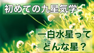 【初めての九星気学】一白水星ってどんな星？