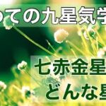 【初めての九星気学】七赤金星ってどんな星？