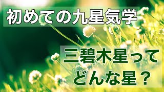 【初めての九星気学】三碧木星ってどんな星？