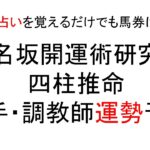 2023年12月10日#阪神ジュベナイルフィリーズ  四柱推命による騎手、調教師運勢予想 本命◎騎手 春名坂の勝負馬券 ウッチー渾身の1頭です😁