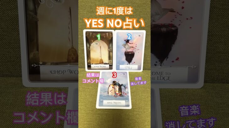 YES NO占い🌈1枚でハッピー占い😊 #omo #タロット占い #吉本興業 #YESNO占い