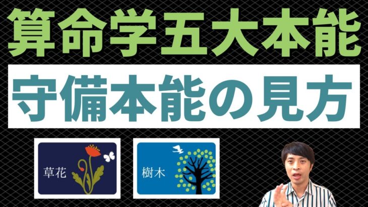 【算命学占い】才能を伸ばすための木性の守備本能の見方！