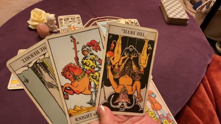 【タロット占い】獅子座♌️2024年2月の運勢🔮sango tarot reading