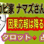 タロット占い【カピバラ家ナマズ】さんの因果応報はどうなる⁉️kk占い　#kk占いタロット　#お皿占い