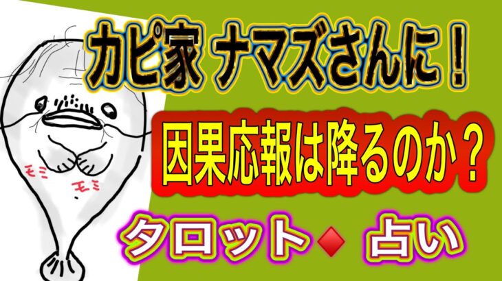 タロット占い【カピバラ家ナマズ】さんの因果応報はどうなる⁉️kk占い　#kk占いタロット　#お皿占い