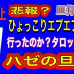 【占い】ハゼ旦那ひょっこりエプの島🏝️行ったのか⁉️タロット占い　お皿占い　kk占い