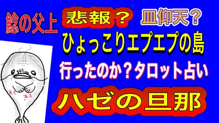 【占い】ハゼ旦那ひょっこりエプの島🏝️行ったのか⁉️タロット占い　お皿占い　kk占い