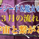 《🧙‍♀️宇宙のエネルギーを地球に流してください🧙‍♀️》🔮【数秘術占い師のカードリーディング】