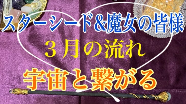 《🧙‍♀️宇宙のエネルギーを地球に流してください🧙‍♀️》🔮【数秘術占い師のカードリーディング】