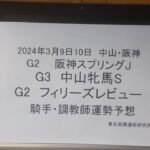 2024年3月9日10日　四柱推命による騎手運勢予想　#阪神スプリングジャンプ#中山牝馬ステークス #フィリーズレビュー #金鯱賞 　本命騎手　勝負馬券公開