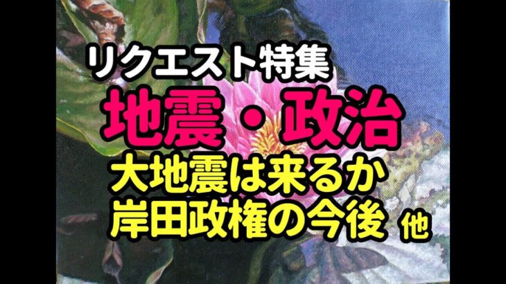 タロット占い　リクエスト特集－地震・政治