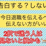 【する？しない？】【お悩みの二択占い】あなたの悩みについて、実行に移すか、移さないか等、二択で占います！！