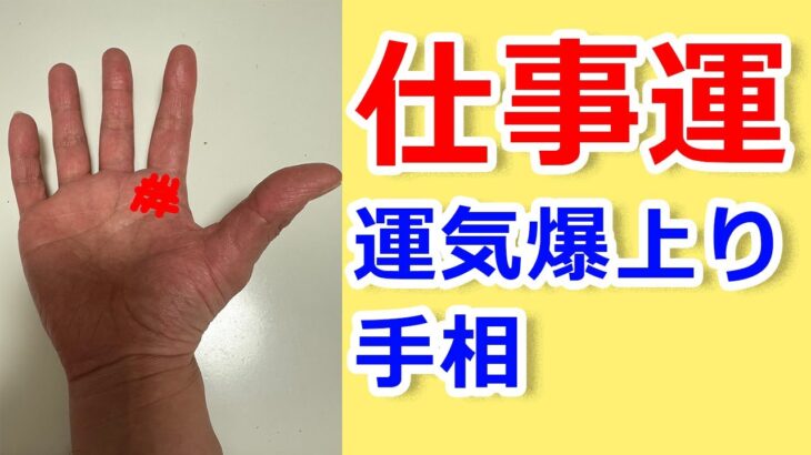 【手相占い】仕事運が爆上がりしている手相【手相鑑定 vol.231】