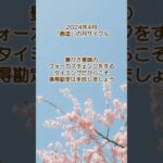 【数秘術】2024年4月の流れ：気を付けてほしいこと【占い】