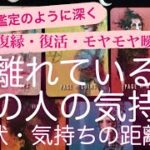 タロット・ルノルマン占い✨ 復縁・復活・モヤモヤ曖昧・現状の距離や気持ちの距離🥲離れているあの人の気持ち💗